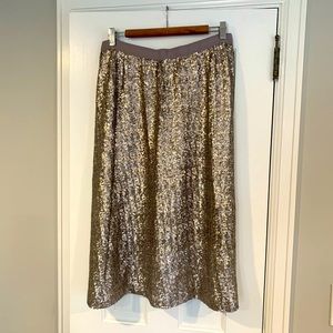 NWOT Boden Silver Sequin Skirt- 10